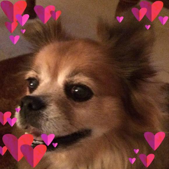 Meet your Posher, Anna - Picture 1 of 1